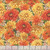 Wilmington Prints Fabrics Dahlia Botanica Nancy Mink Packed Floral Yellow Orange