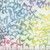 Riley Blake Fabrics Wide Back Batiks Radiant Flourish Rainbow Sherbet