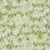 Moda Fabrics Sweet Cecily Janet Clare Bud Green Queen Anne Florals Watercolor