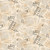 Studio E Fabrics United We Stand Cream Federalist Papers Texture
