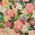 P Kaufmann Fabrics Lisbeth Summer Vintage Floral Hydrangea Peony Tulip Pink Green Blue Black