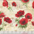 Timeless Treasures Fabrics Poppy Passion by Chong A Hwang Poppy Floral & Text Cream