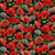 Timeless Treasures Fabrics Poppy Passion by Chong A Hwang Poppy Field Black