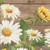 Timeless Treasures Fabrics You Are My Sunshine You Are My Sunshine Panel 24 By 44 Inch Brown