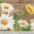 Timeless Treasures Fabrics You Are My Sunshine You Are My Sunshine Panel 24 By 44 Inch Brown