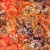 Timeless Treasures Fabrics Apple Basket Tonga Batiks Daisy Block Apple