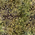 Timeless Treasures Fabrics Apple Basket Tonga Batiks Snazzy Swirls Moss