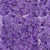 Timeless Treasures Fabrics Lilac Tonga Batiks Japanese Fan Orchid