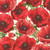 Timeless Treasures Fabrics Poppy Passion by Chong A Hwang Large Poppy Floral Cream