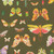Windham Fabrics Tamara Kate Insectarium Olive On Display