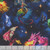 Windham Fabrics Dragon Kingdom Mythical Adventure Midnight, fabric with colorful dragons, castles, stars, and fantasy scenery in a night sky theme.