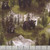 Windham Fabrics Wild Kingdom Whistler Studios Black Bear Forest