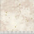 Windham Fabrics Flora & Form Essoldo Design Quartz Cream Texture