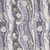 Andover Fabrics Prehistoric Dinosaurs by Makower UK Strata Grey