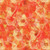 Hoffman Fabrics Flourish Whispy Anemone Floral Poppy Red