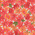 Quilting Treasures Fabrics Faith Can Move Mountains Cream Pink Orange Packed Tropical Floral