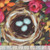 Quilting Treasures Fabrics Fluttering Petals by Andrea Lavery Hummingbird Floral Panel 24