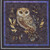Quilting Treasures Fabrics Night Owls by Dan Morris Black Purple Blue Owl Patch Panel