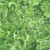Quilting Treasures Fabrics Mystique by Dan Morris Moss Green 108 Inch Wide Quilt Backing