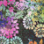 In The Beginning Fabrics Felicity by Jason Yenter Black Floral