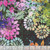 In The Beginning Fabrics Felicity by Jason Yenter Black Floral