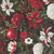 In The Beginning Fabrics Winter Enchantment by Jason Yenter Black Poinsettia Pine Floral