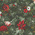 In The Beginning Fabrics Winter Enchantment by Jason Yenter Black Poinsettia Pomegranate Bird Toile
