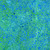 Lumin Fabrics Island Batik Fossil Finesse Kathy Engle Tiger Eye Teal Chameleon