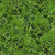 Lumin Fabrics Island Batik Garden Glory Claudia Pfeil Shell Cluster Green Spinach