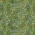 Lumin Fabrics White Owl Wild Garden Nicole Tamarin Feathers Green