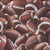 Timeless Treasures Fabrics Sports Novelty Brown Football Collage