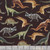 Timeless Treasures Fabrics Donosaurs Novelty Black Dinosaurs Species