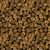 Timeless Treasures Fabrics Autumn Leaves Pine Cones Brown