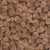 Timeless Treasures Fabrics Autumn Leaves Pine Cones Brown