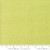 Moda Fabrics Thatched Robin Pickens Light Green Greenery