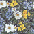 Free Spirit Fabrics Nocturnal Creatures Maria Matos Black Jonquil Night Garden