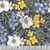 Free Spirit Fabrics Nocturnal Creatures Maria Matos Black Jonquil Night Garden