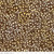 Riley Blake Fabrics Expressions Batiks Decorator Style Ginger Syrup Brown Leafy Vine