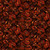 Timeless Treasures Fabrics Dragon Fire Dragon Fire Battle Flame
