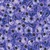 Timeless Treasures Fabrics Meadow Bloom Packed Anemones Purple