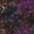 Timeless Treasures Fabrics Tonga Batiks Chateau Wood Cuts Flowers & Dots Harvest