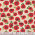 Timeless Treasures Fabrics Poppy Passion by Chong A Hwang Poppies On Script Cream