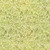 In The Beginning Fabrics Day and Night Jason Yenter Green Branches Foliage