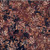 Hoffman Fabrics Bali Hand Dyed Batik Leafy Branches Ferns Fronds Walnut Brown