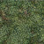 Hoffman Fabrics Bali Hand Dyed Batik Droplets Olive Green