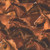 Blank Quilting Fabrics Spurs & Spirit Urban Essence Designs Brown Horses, detailed pattern of multiple brown horses with flowing manes in motion.
