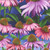 Henry Glass Fabrics Blissful Blooms Color Principle Blue Echinacea