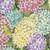 Henry Glass Fabrics Blissful Blooms Color Principle Green Multi Hydrangeas
