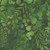 Henry Glass Fabrics Blissful Blooms Color Principle Green Fern &  Foliage