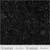 Windham Fabrics Pen & Petal Whistler Studios Black On Black Daydream 108 Inch Wide Quilt Back, black fabric with a detailed floral and botanical line drawing pattern.